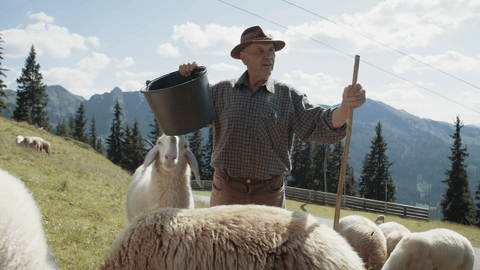 Summer in the Styrian Enns Valley, Bild 7